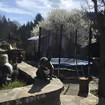 Guest house та чан 