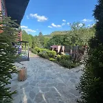 та чан 