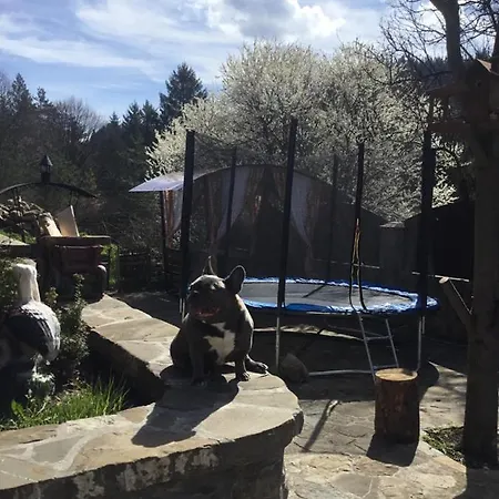 Guest house та чан 