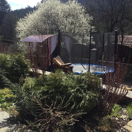 Guest house та чан 